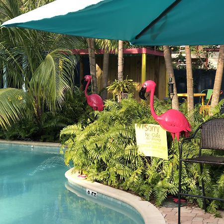 Calypso Inn Wilton Gay Male Resort Wilton Manors エクステリア 写真