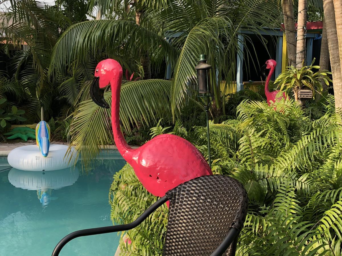 Calypso Inn Wilton Gay Male Resort Wilton Manors エクステリア 写真