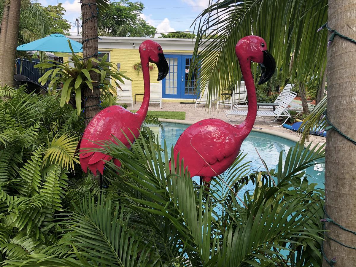 Calypso Inn Wilton Gay Male Resort Wilton Manors エクステリア 写真